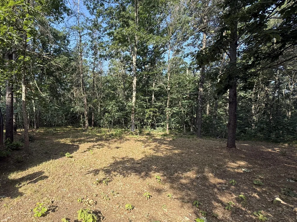 3544 S Cornell Avenue Baldwin, MI 49304