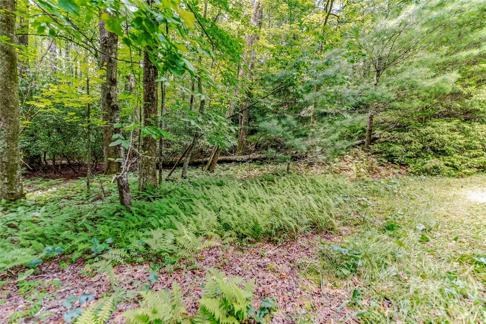 129 Nodatsi Court Brevard, NC 28712