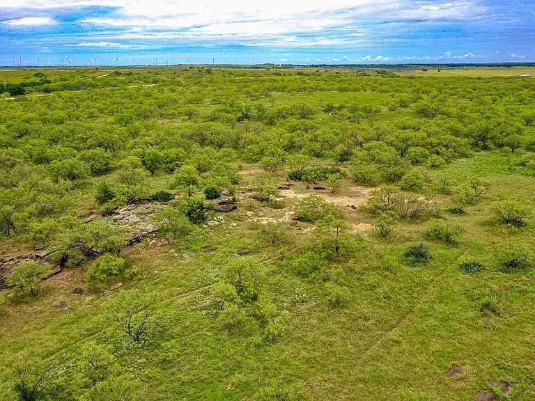 FM 175 Jacksboro, TX 76365