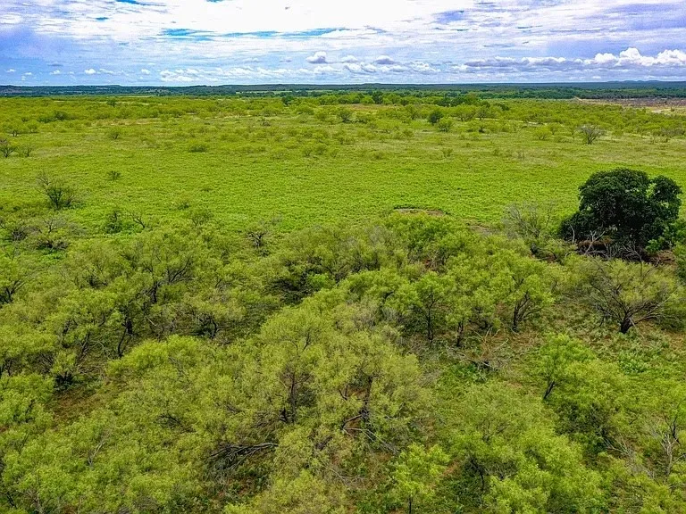 FM 175 Jacksboro, TX 76365
