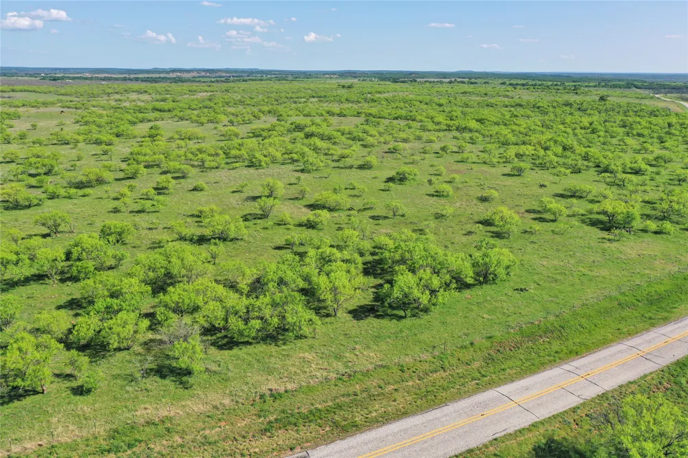 FM 175 Jacksboro, TX 76365