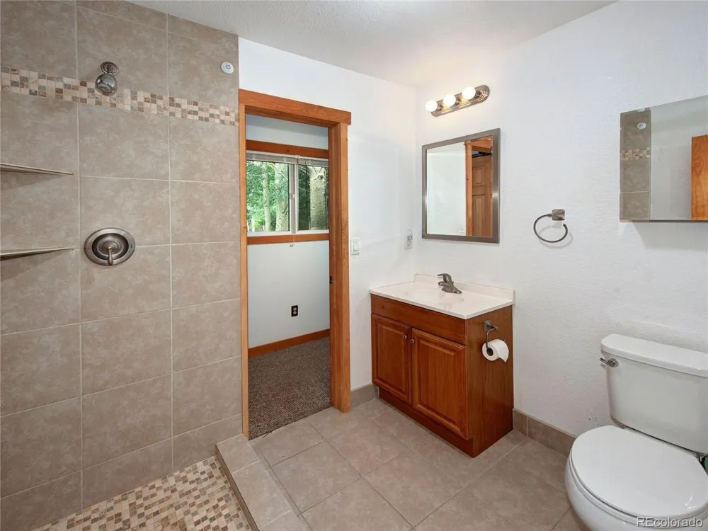 36 Cartier Court Dillon, CO 80435