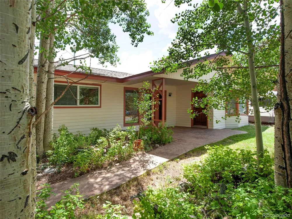 36 Cartier Court Dillon, CO 80435