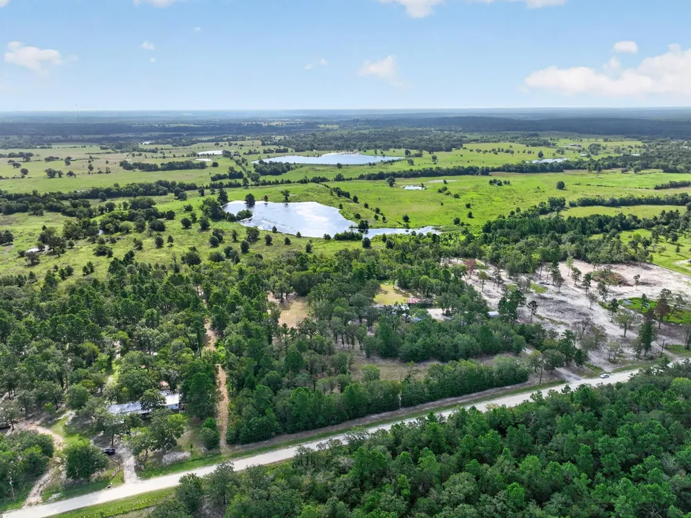 92 Willey Road Bedias, TX 77831