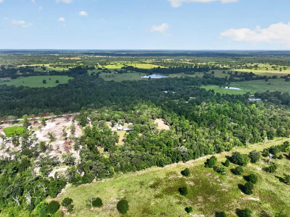 92 Willey Road Bedias, TX 77831