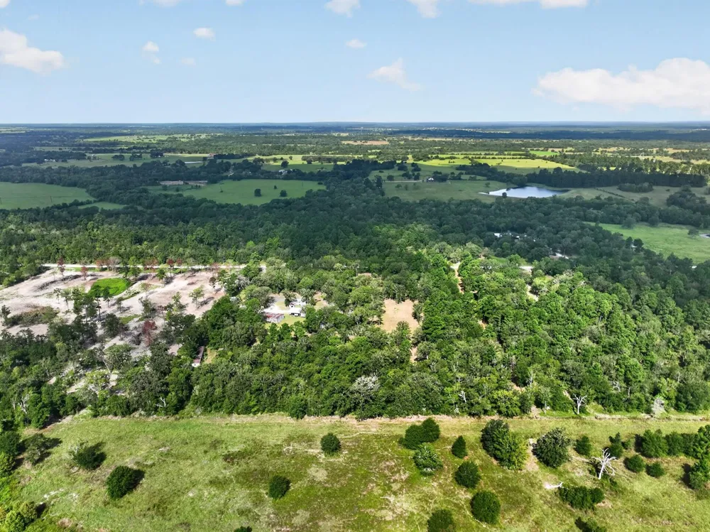 92 Willey Road Bedias, TX 77831