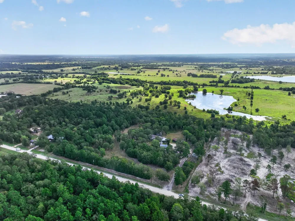 92 Willey Road Bedias, TX 77831