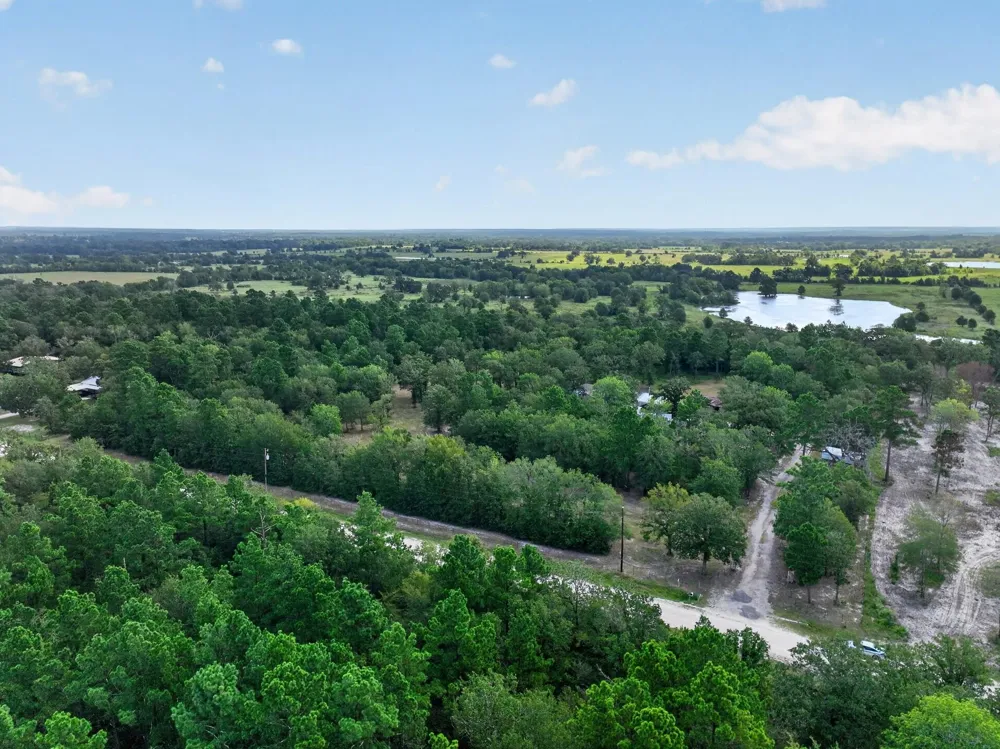 92 Willey Road Bedias, TX 77831