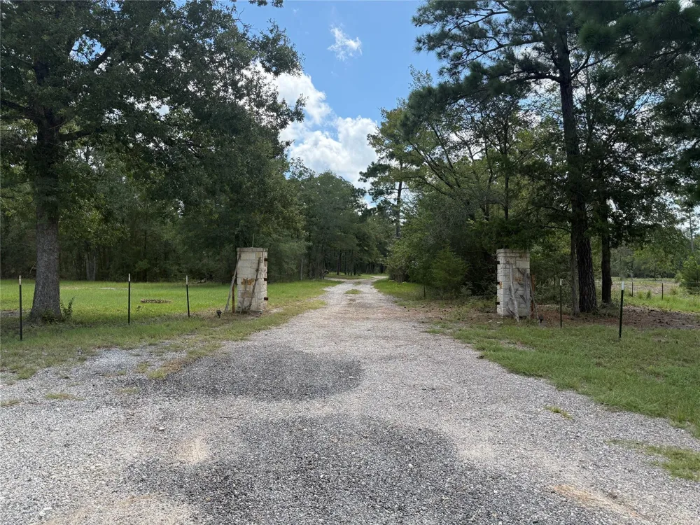 92 Willey Road Bedias, TX 77831
