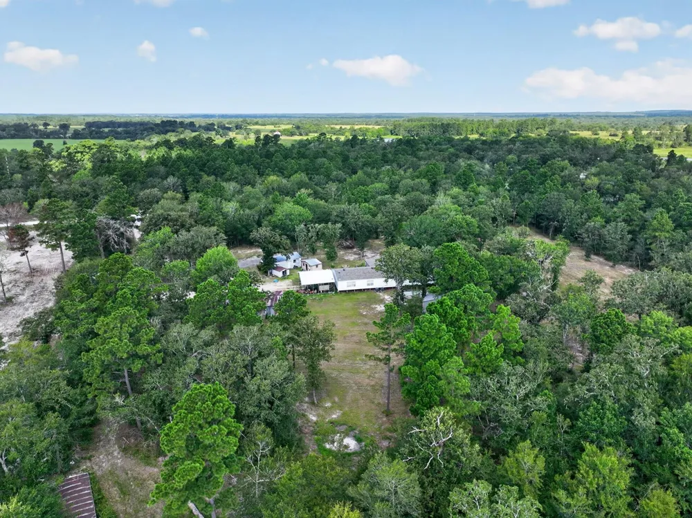 92 Willey Road Bedias, TX 77831