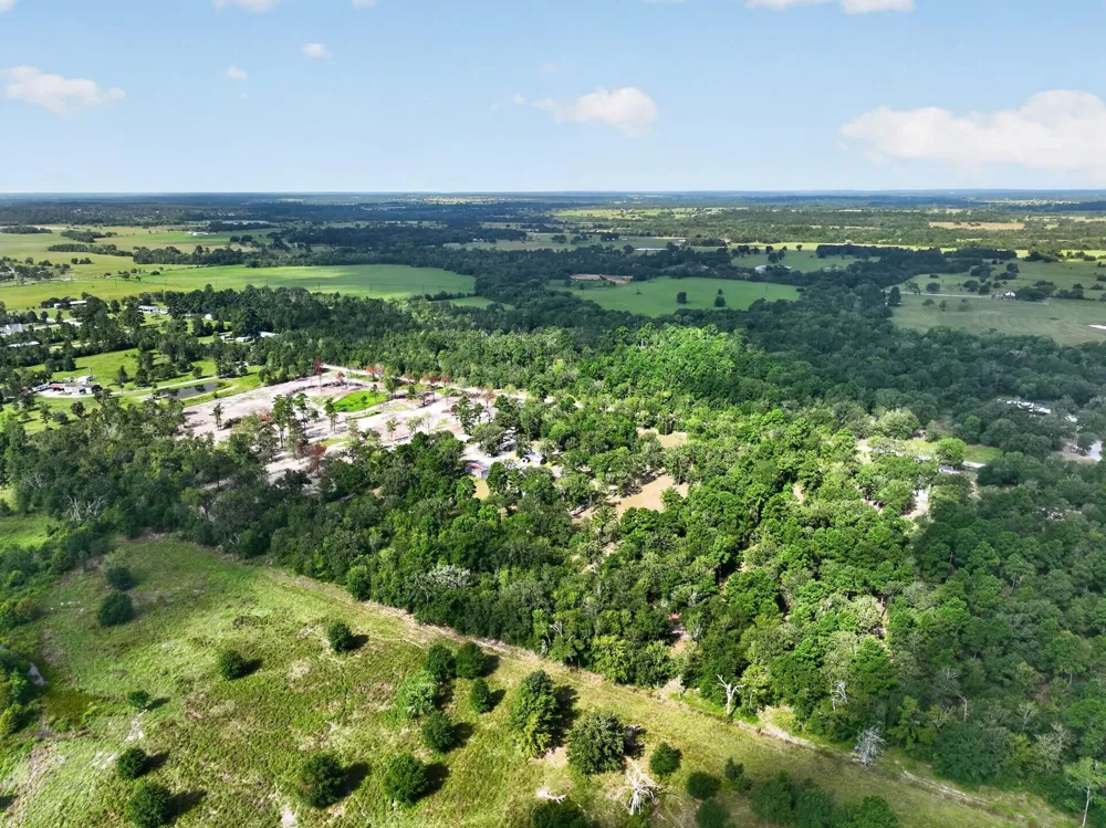 92 Willey Road Bedias, TX 77831