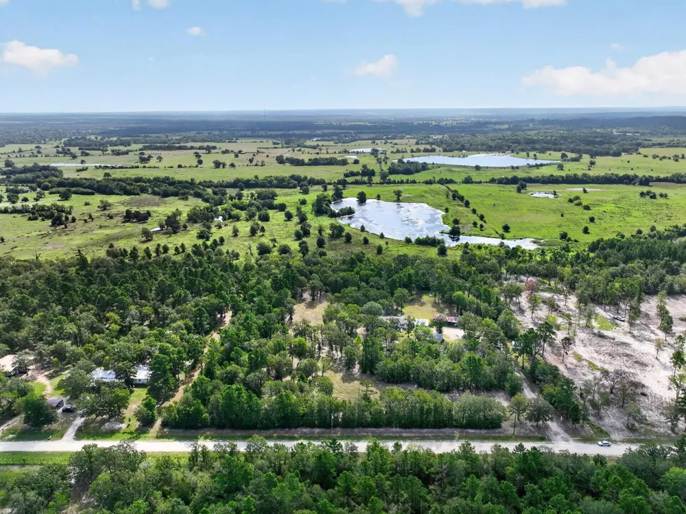 92 Willey Road Bedias, TX 77831