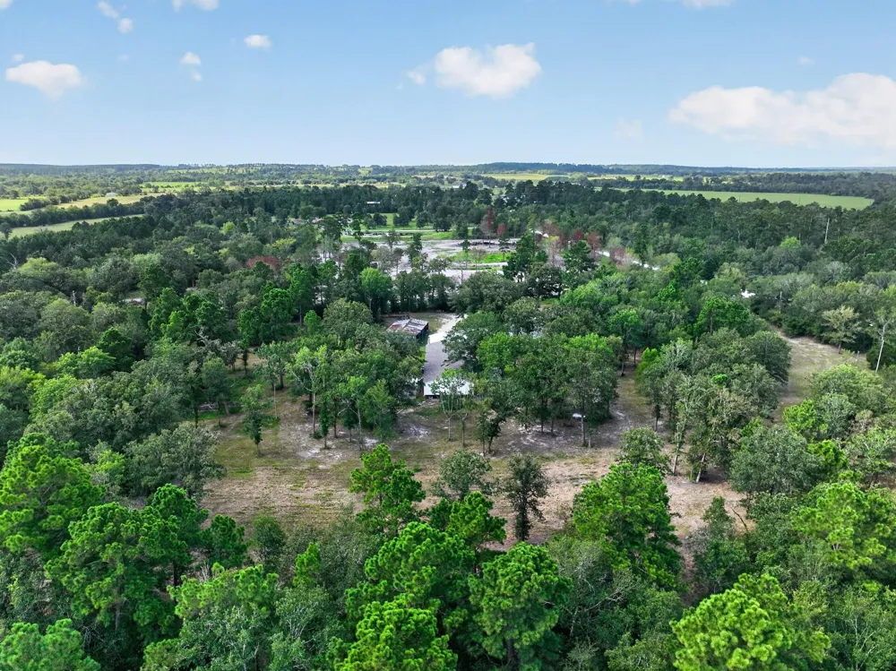 92 Willey Road Bedias, TX 77831
