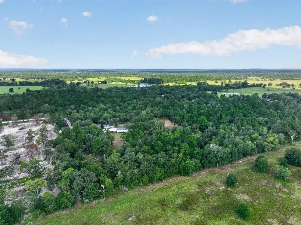 92 Willey Road Bedias, TX 77831