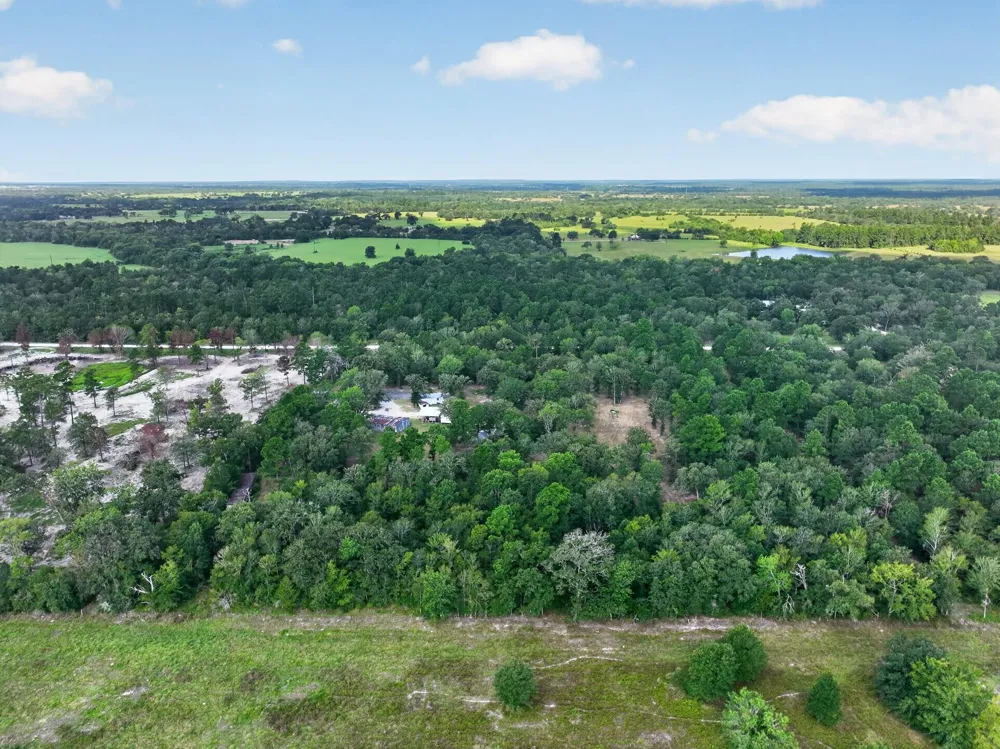 92 Willey Road Bedias, TX 77831