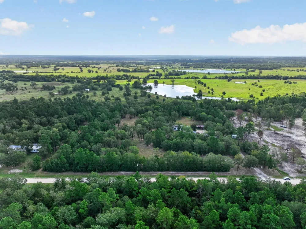 92 Willey Road Bedias, TX 77831