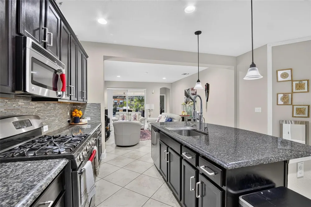 16220 BAYBERRY VIEW DRIVE Lithia, FL 33547