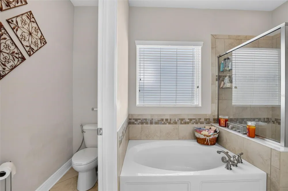 16220 BAYBERRY VIEW DRIVE Lithia, FL 33547