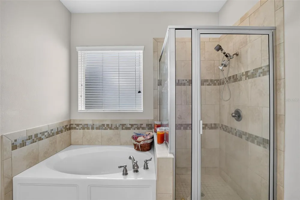 16220 BAYBERRY VIEW DRIVE Lithia, FL 33547