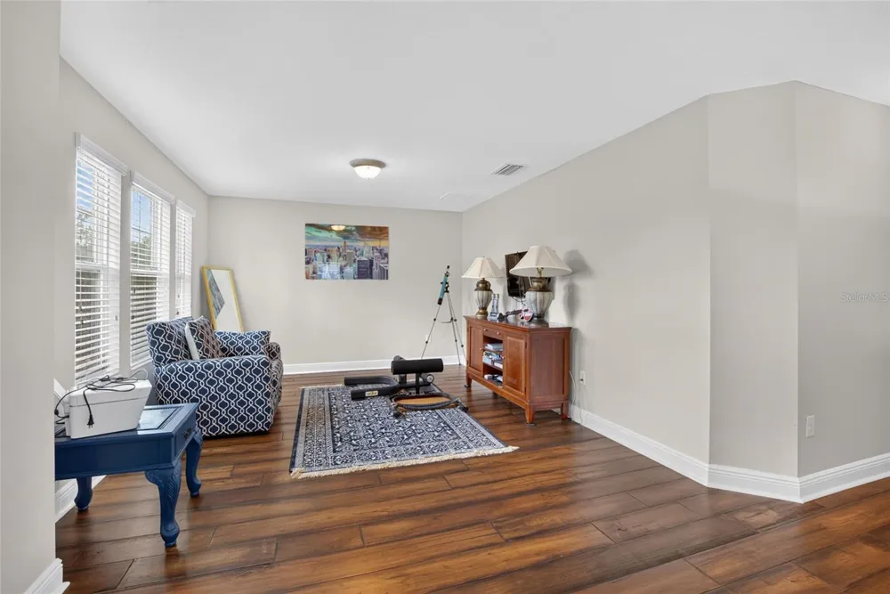 16220 BAYBERRY VIEW DRIVE Lithia, FL 33547