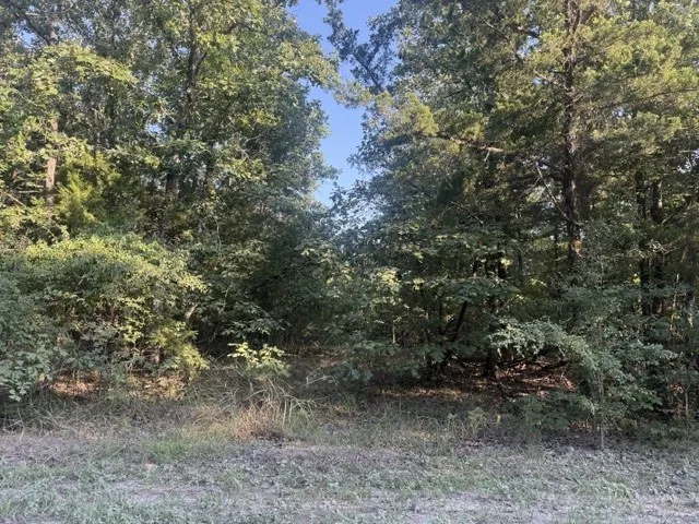111 CR 1275 Clarksville, TX 75426