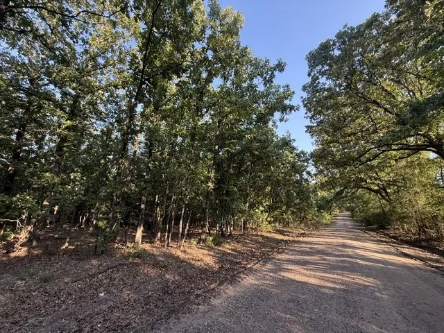 111 CR 1275 Clarksville, TX 75426