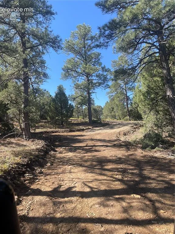329 Fishers Peak Parkway Trinidad, CO 81082