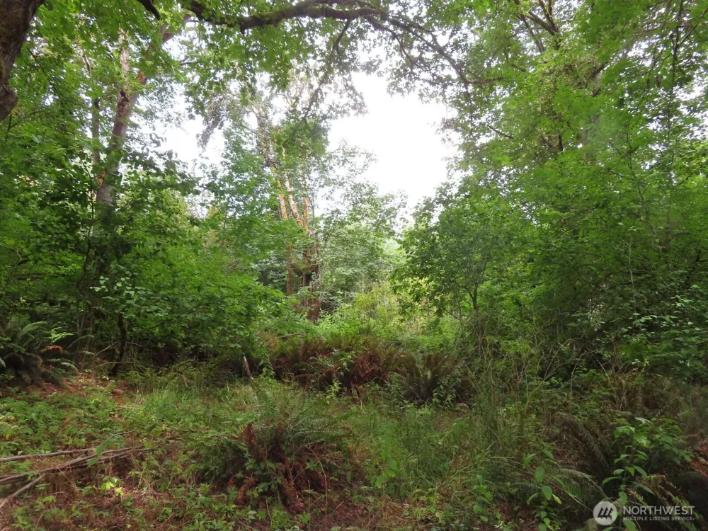 0 XXX Del Ray Road Mossyrock, WA 98564