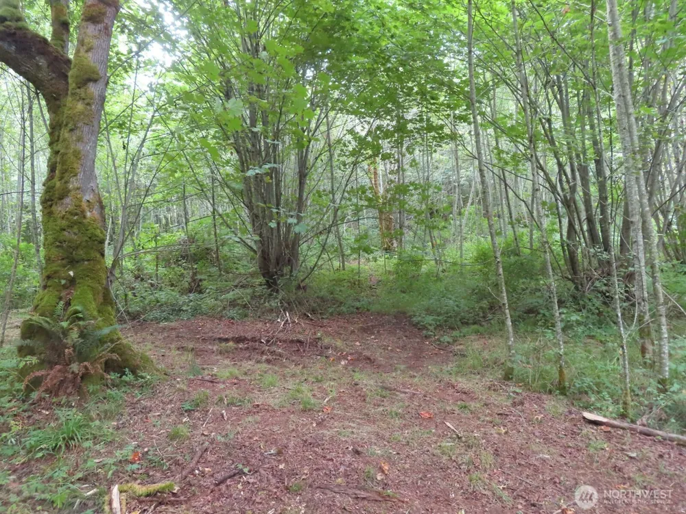 0 XXX Del Ray Road Mossyrock, WA 98564