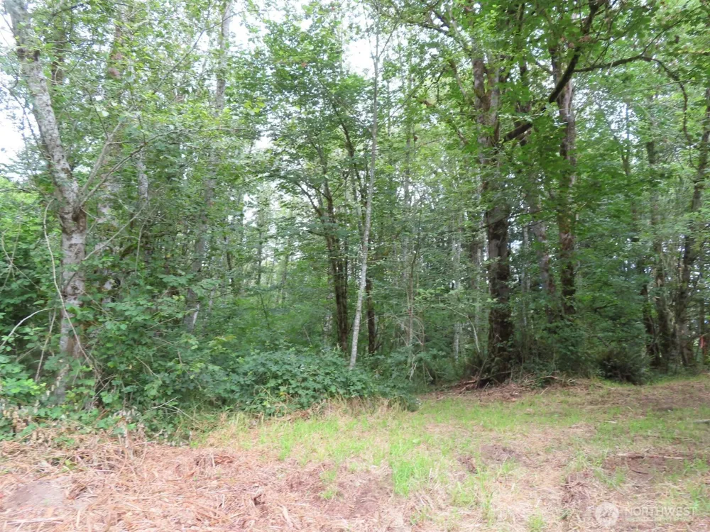 0 XXX Del Ray Road Mossyrock, WA 98564
