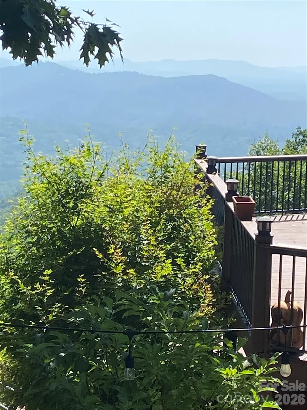 000 Williams Circle NW #320 Lake Lure, NC 28746