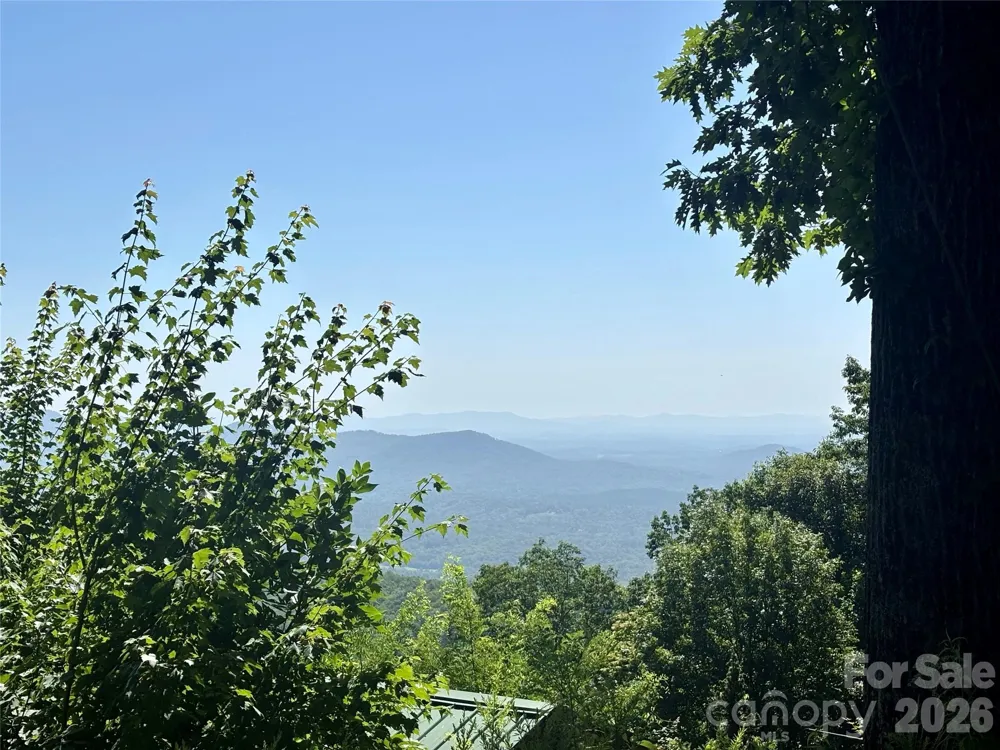 000 Williams Circle NW #320 Lake Lure, NC 28746