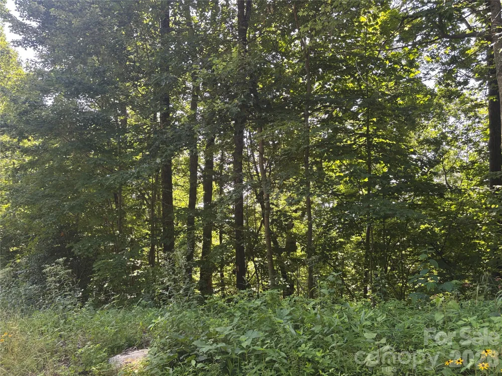 000 Williams Circle NW #320 Lake Lure, NC 28746