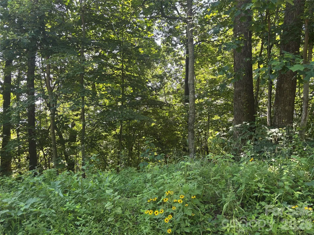 000 Williams Circle NW #320 Lake Lure, NC 28746