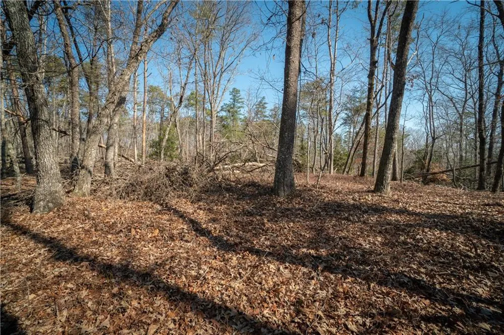00 Jennys Cove Road Cleveland, GA 30528