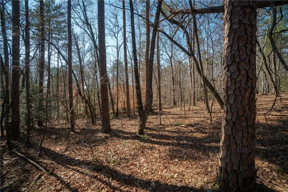 00 Jennys Cove Road Cleveland, GA 30528