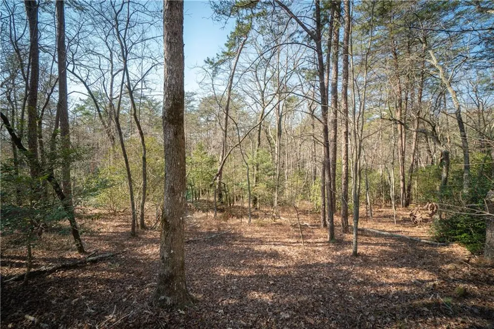 00 Jennys Cove Road Cleveland, GA 30528