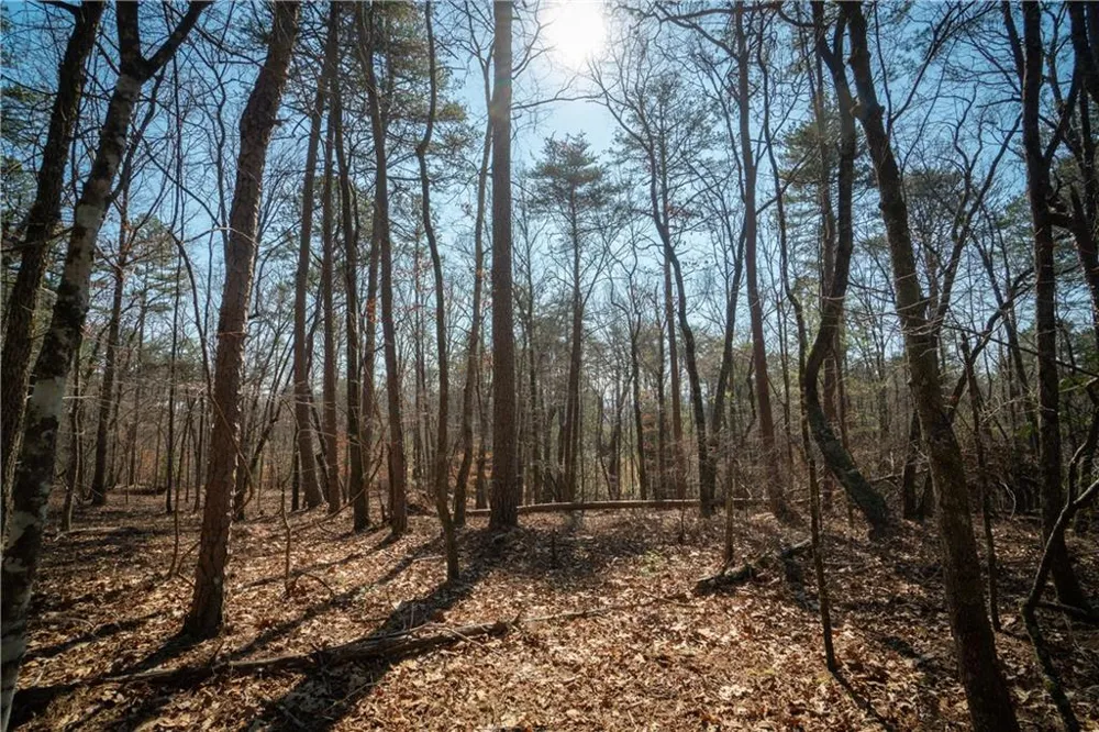 00 Jennys Cove Road Cleveland, GA 30528