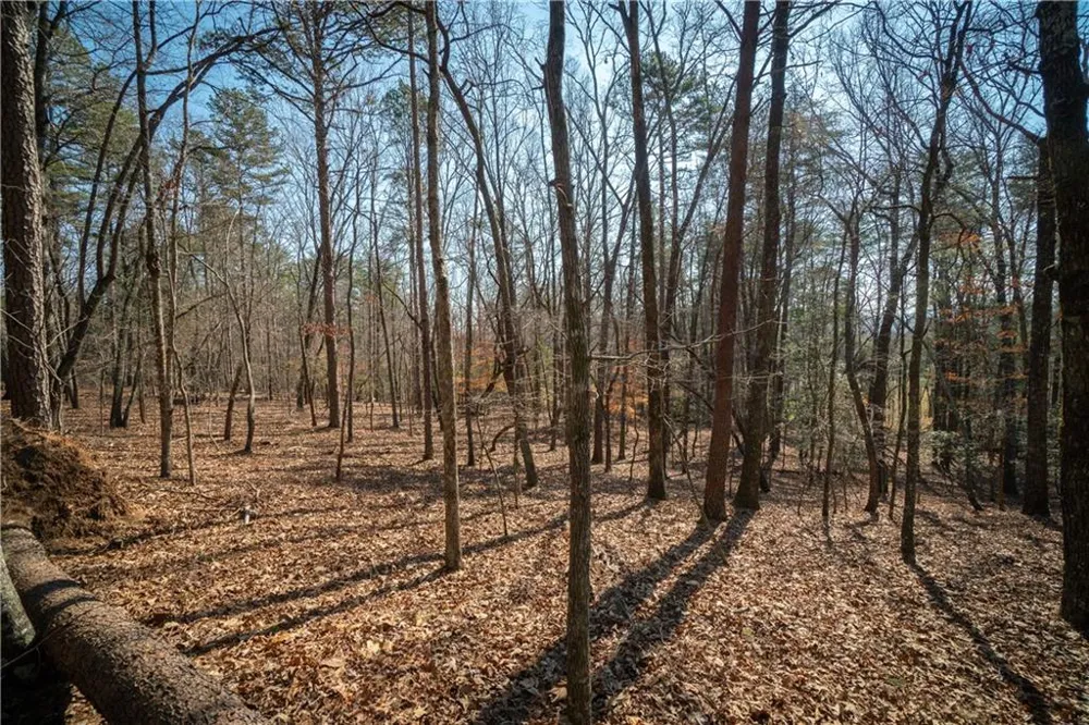 00 Jennys Cove Road Cleveland, GA 30528