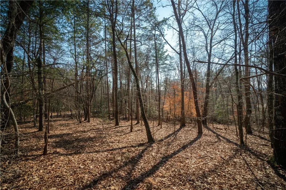 00 Jennys Cove Road Cleveland, GA 30528