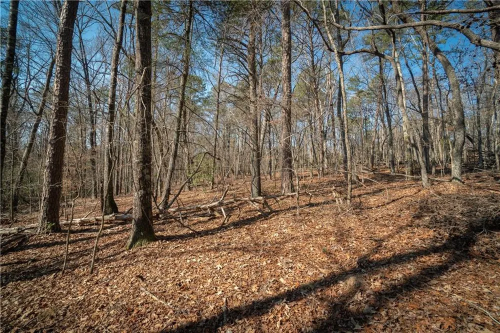 00 Jennys Cove Road Cleveland, GA 30528