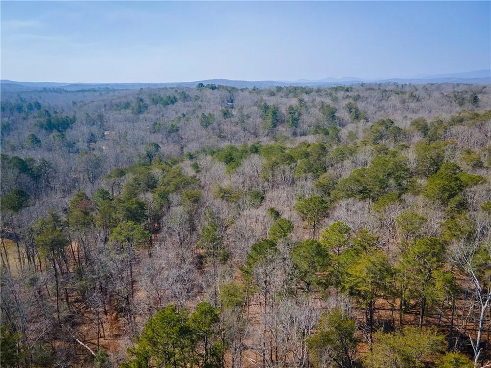 00 Jennys Cove Road Cleveland, GA 30528