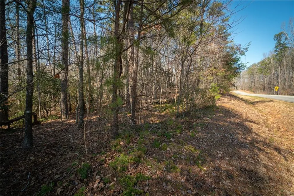 00 Jennys Cove Road Cleveland, GA 30528
