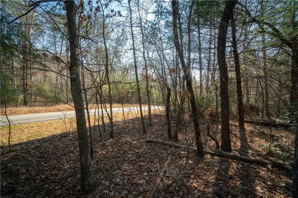 00 Jennys Cove Road Cleveland, GA 30528