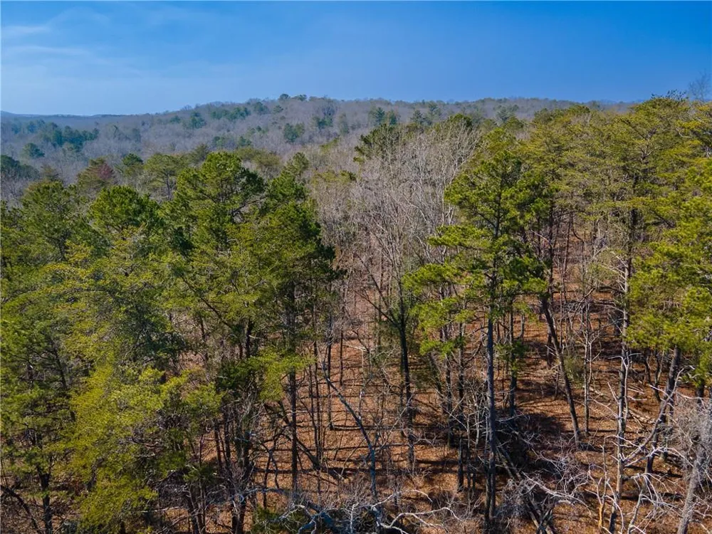 00 Jennys Cove Road Cleveland, GA 30528