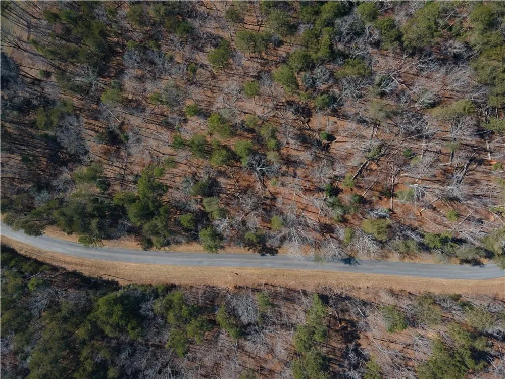 00 Jennys Cove Road Cleveland, GA 30528