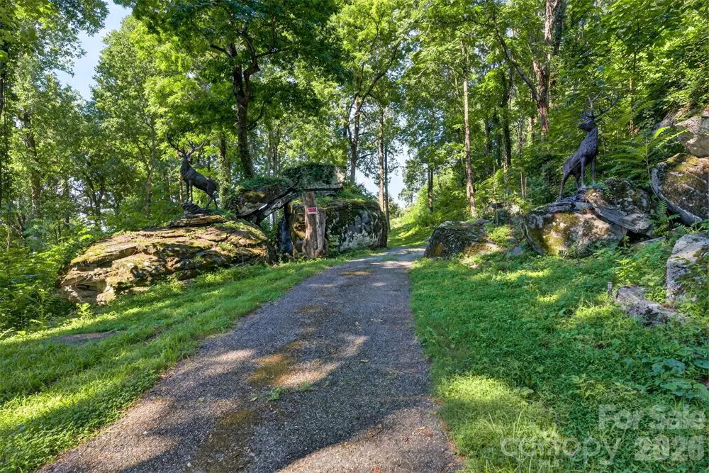 370 Mountain Side Drive Columbus, NC 28722