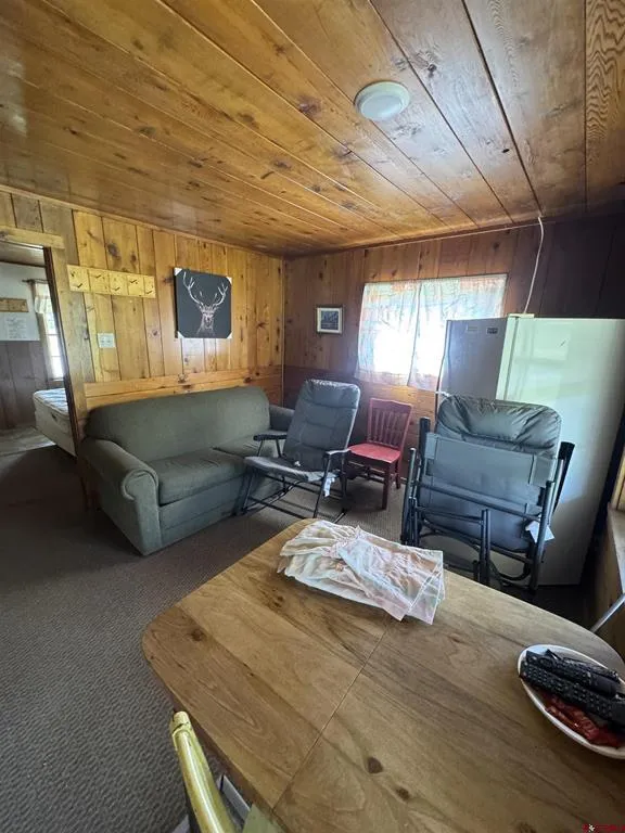 130 Sherry Lane Antonito, CO 81120