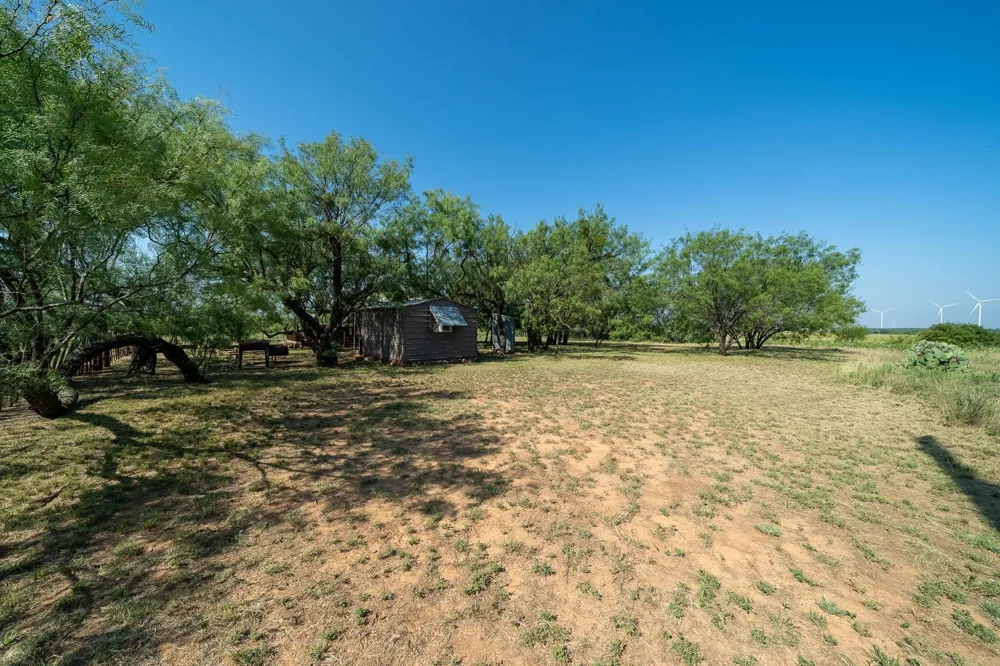 15055 County Road 306 Moran, TX 76464