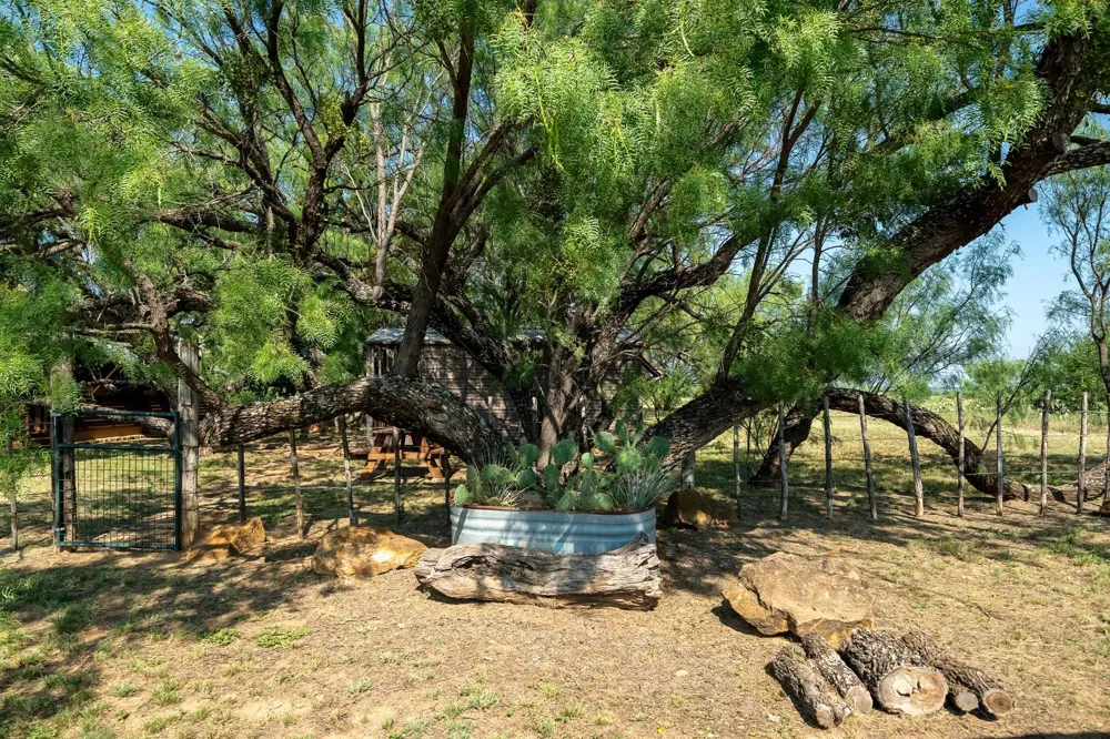 15055 County Road 306 Moran, TX 76464